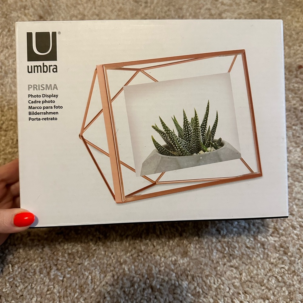 Umbra 4x6 floating picture frame
